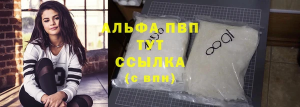гидра Бородино