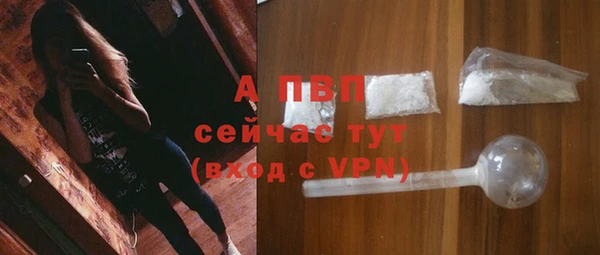 гидра Бородино