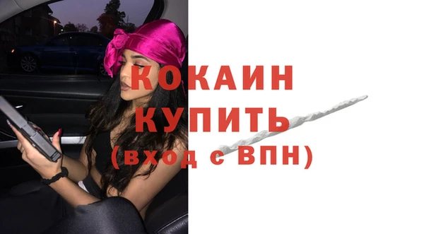 гидра Бородино