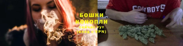 гидра Бородино
