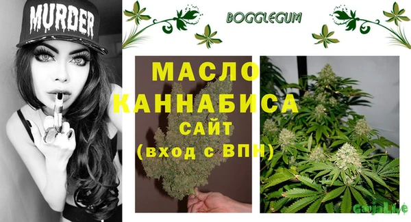 гидра Бородино