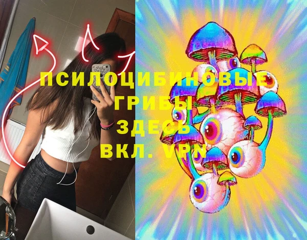 гидра Бородино
