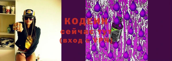 гидра Бородино